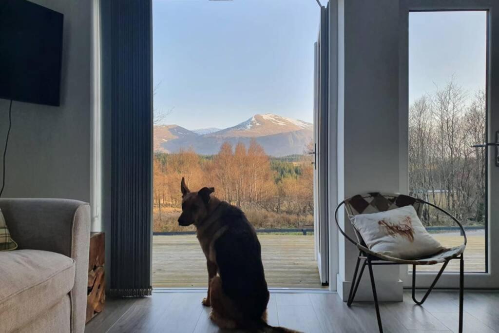 Ben Nevis Scotland Highlands, Camden House Luxury Home Fort William Eksteriør billede