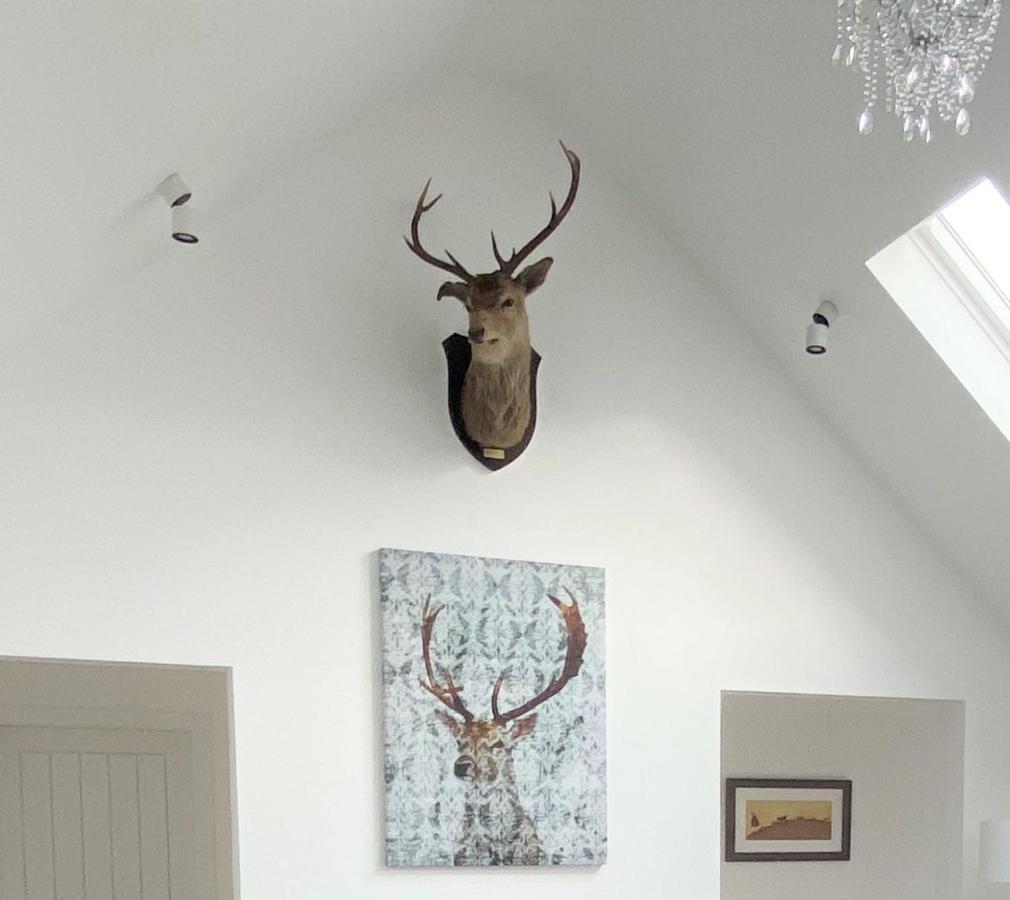 Ben Nevis Scotland Highlands, Camden House Luxury Home Fort William Eksteriør billede